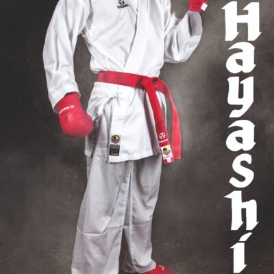 Poster “Kumite Hollow”