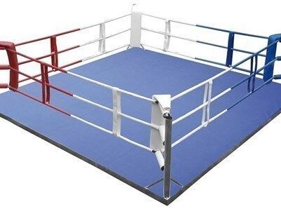 Traingin ring with floor